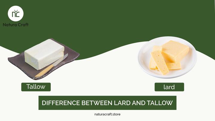 Difference Between Lard and Tallow