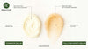 Tallow and Honey Balm Better Than Regular Moisturizers