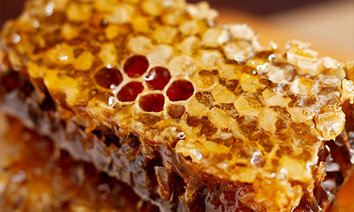 Wild Raw Honey